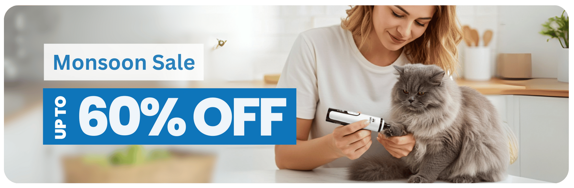 Cat Grooming