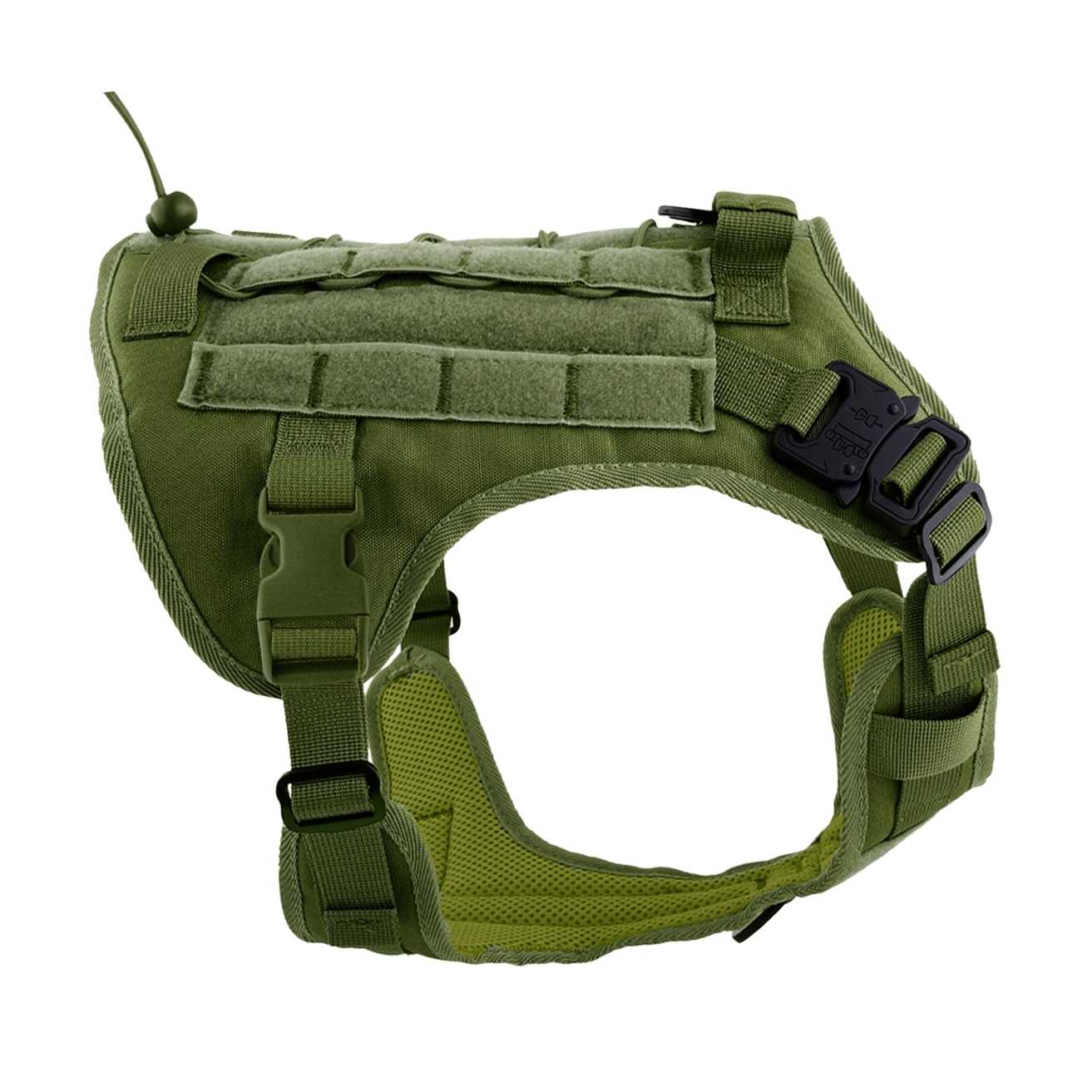 dog harness