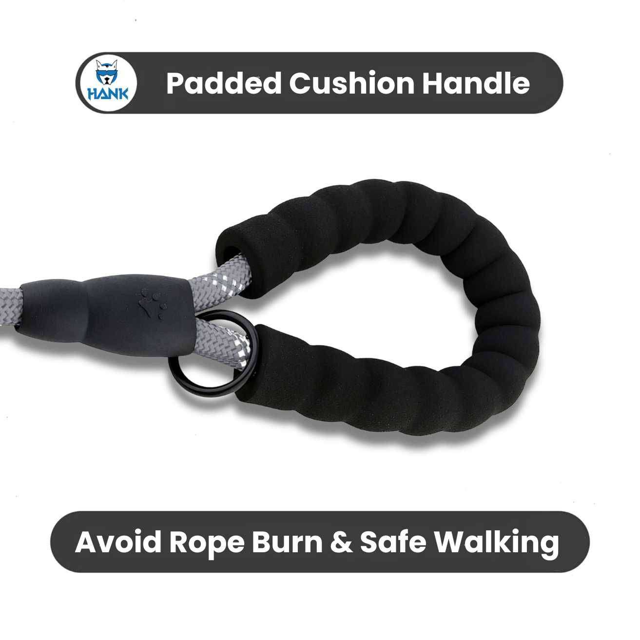 Dog Grey Leash