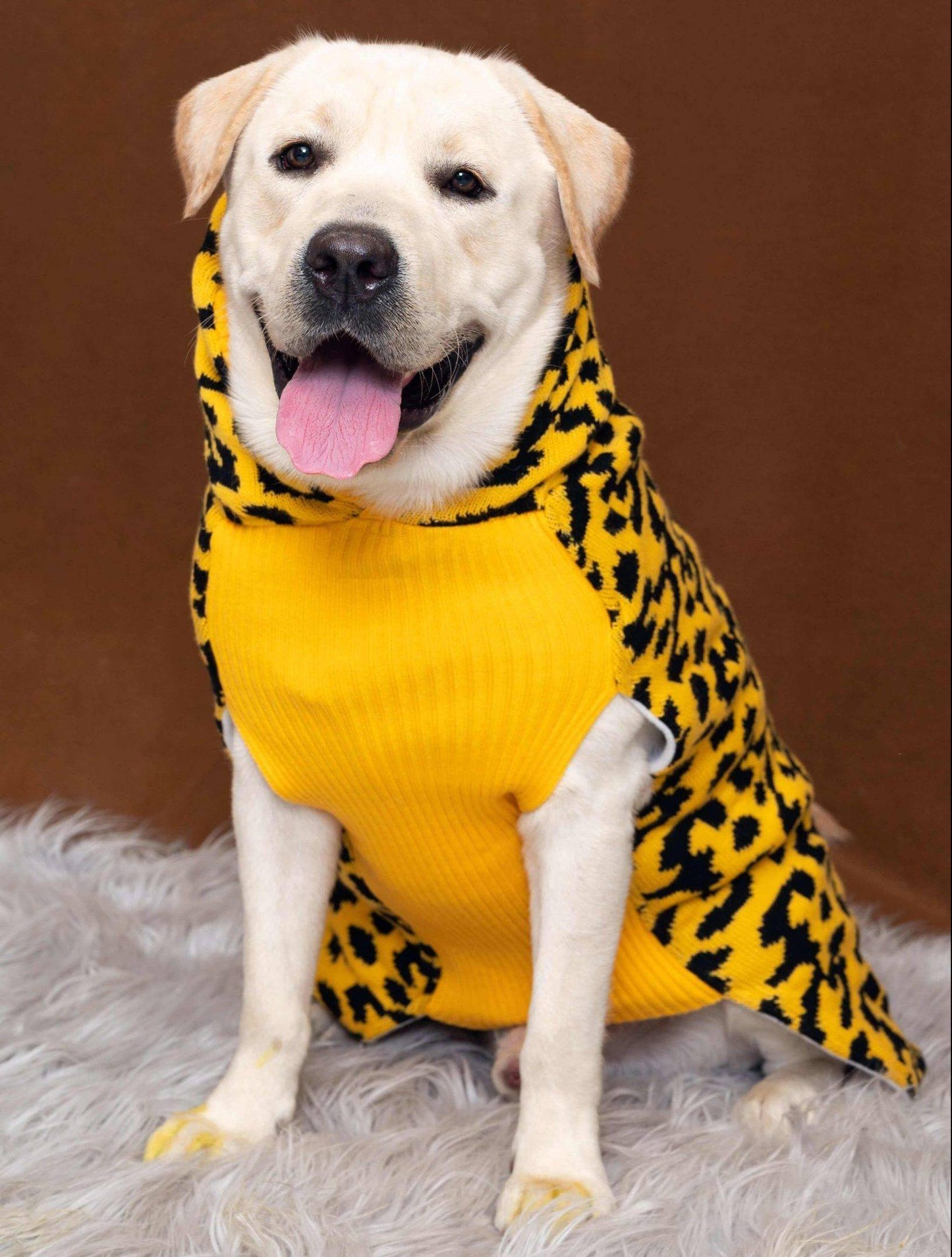 Dog Sweaters HANK