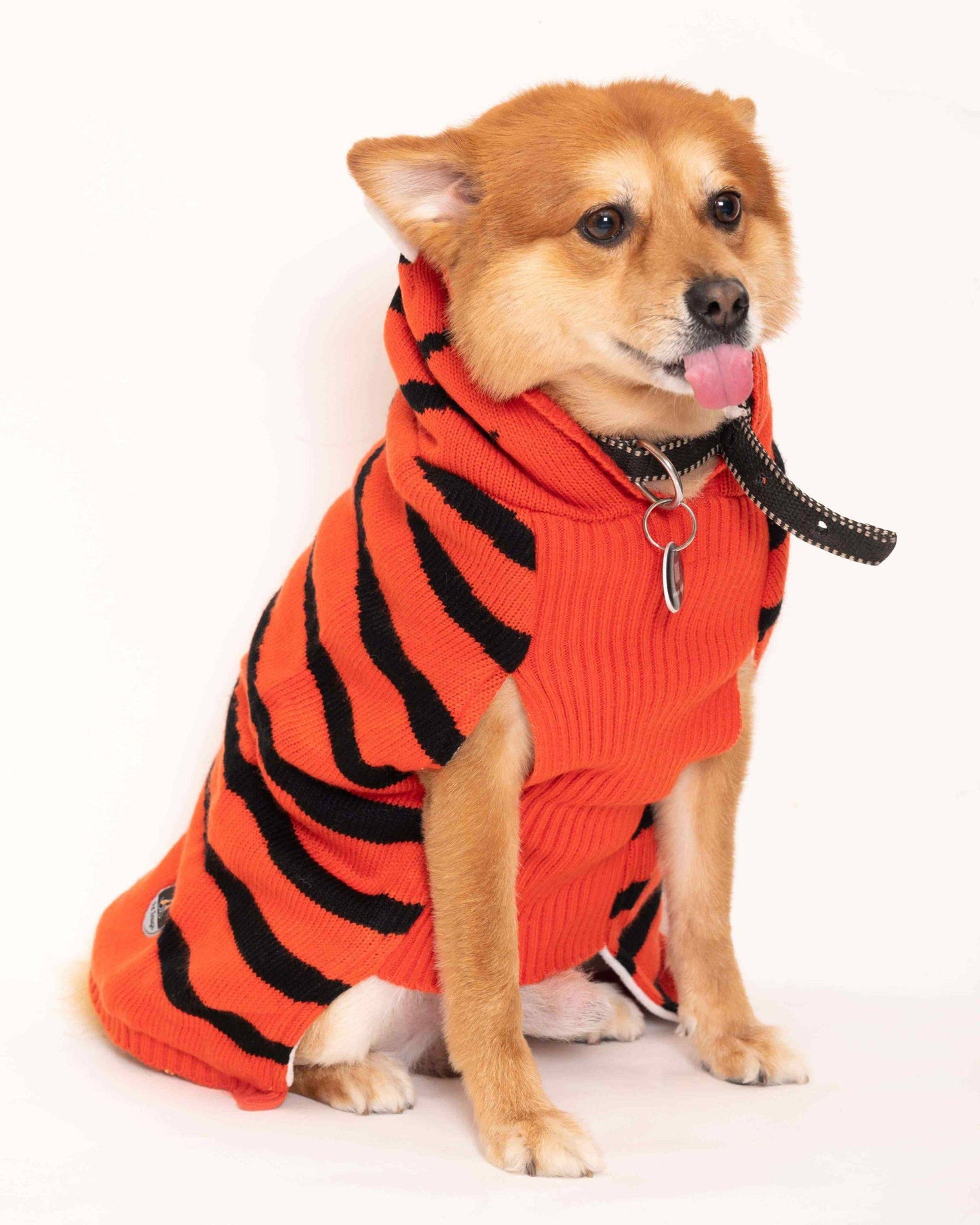 Dog Clothing HANK