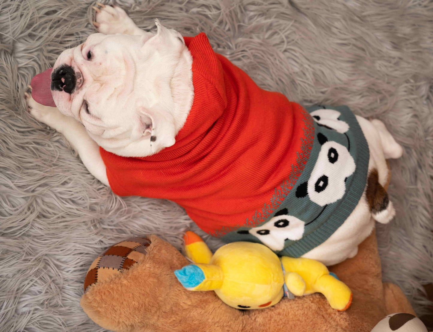 Dog Clothing HankPets