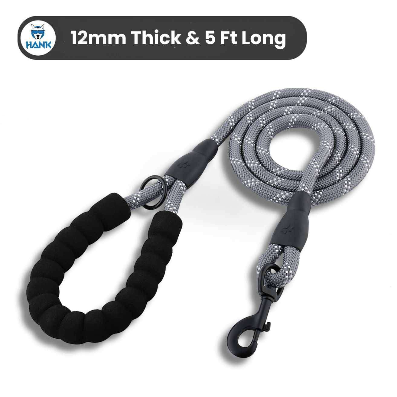 Dog Grey Leash
