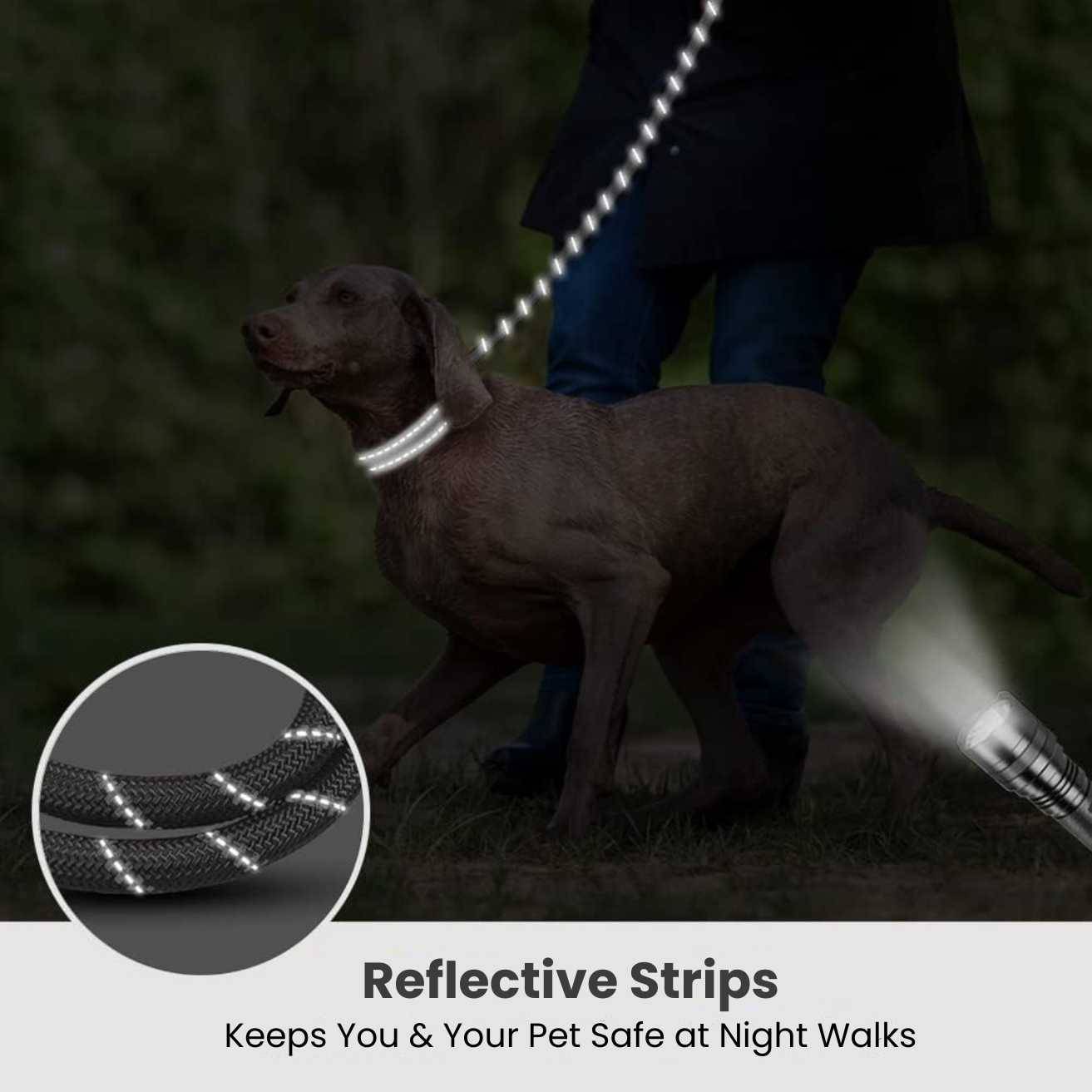 Dog Grey Leash