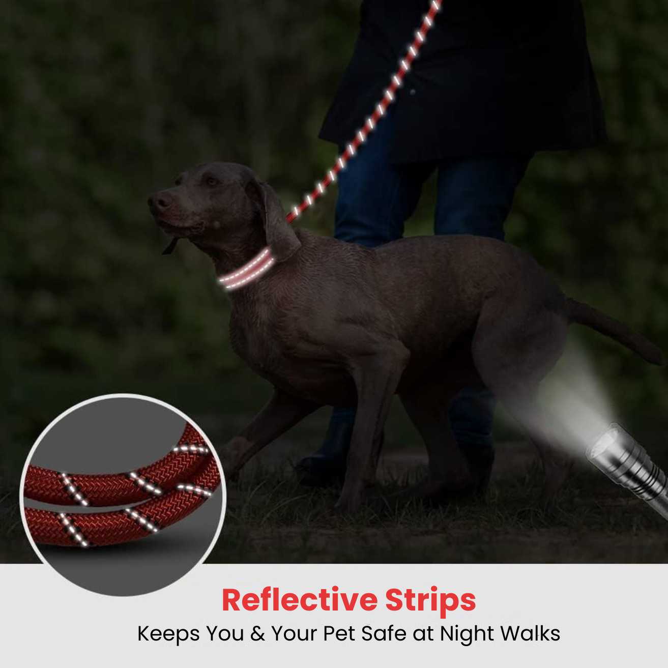 Hank Dog Leash Red