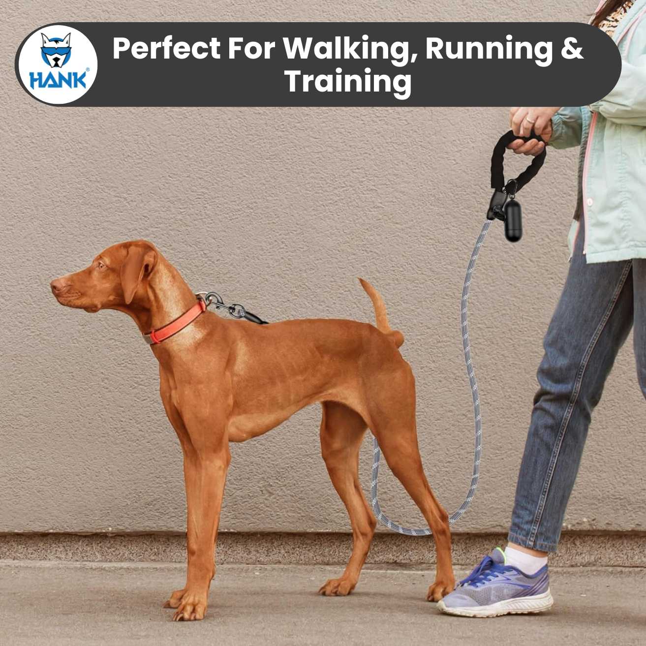 Dog Grey Leash