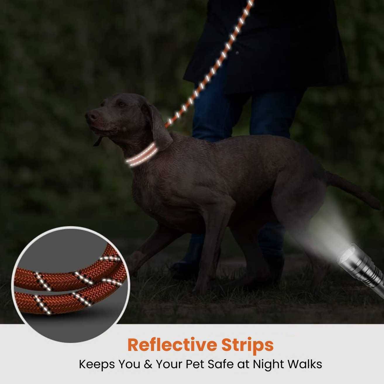 Hank Dog Leash Orange