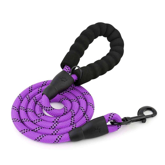 Dog Leash Violet
