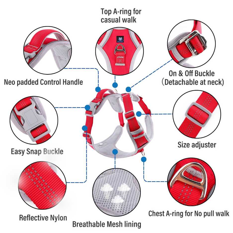 Harness for dog