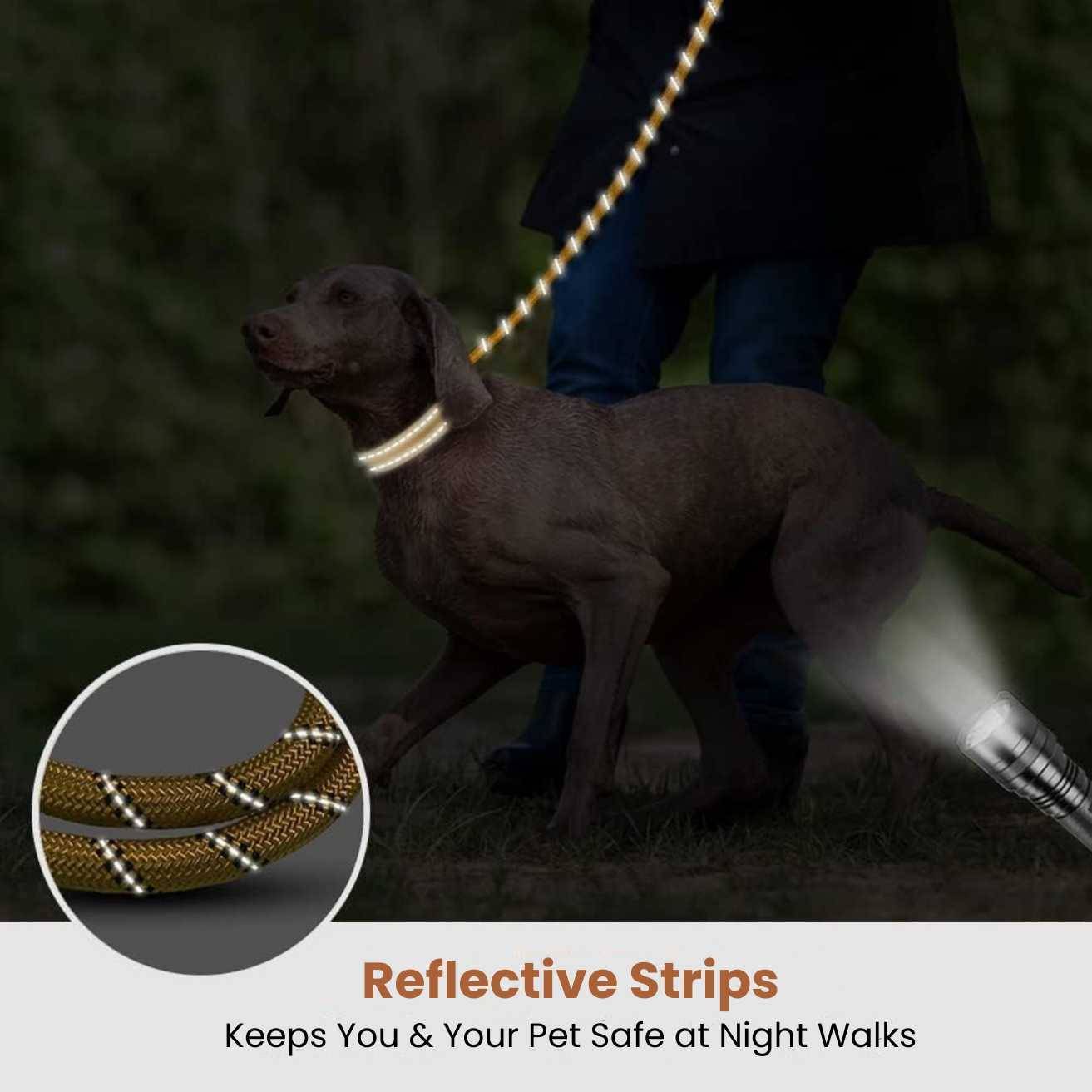 Hank Dog Leash Brown