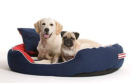 Hank Dog Beds