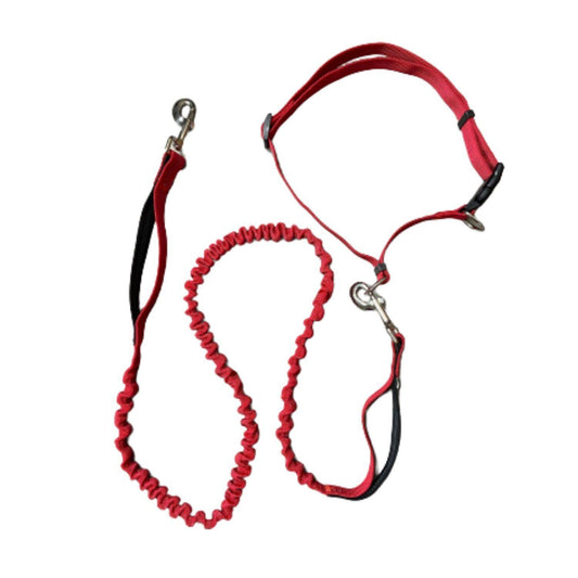 Retractable Hands Free Dog Leash