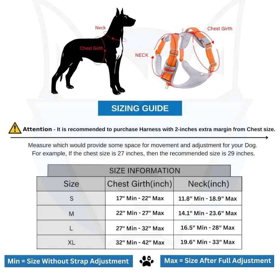 Dog Belt