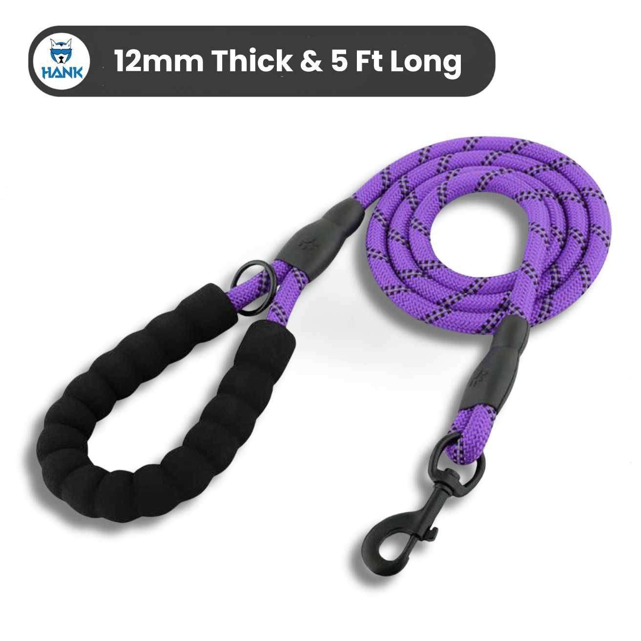 Dog Leash Violet