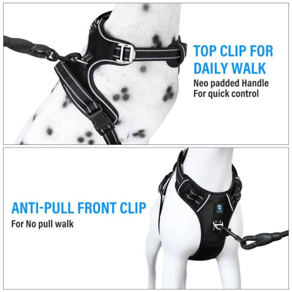 Hank Harness For Dog