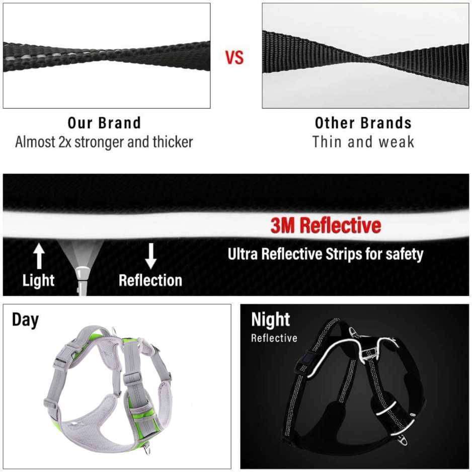 Dog body belt