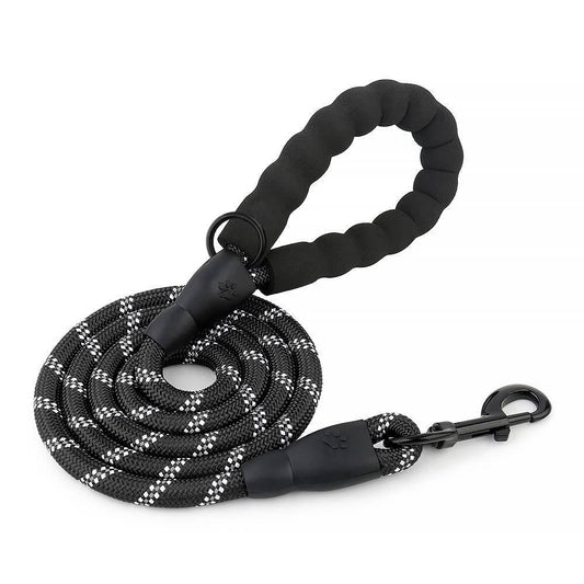 Hank Black Leash For Dog Small