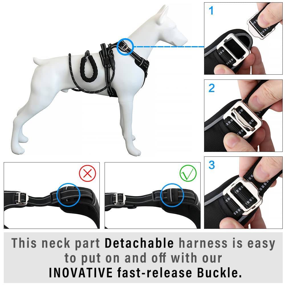 Hank Black Harness For Dog