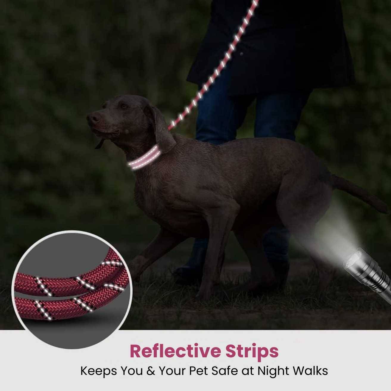 Hank dog leash