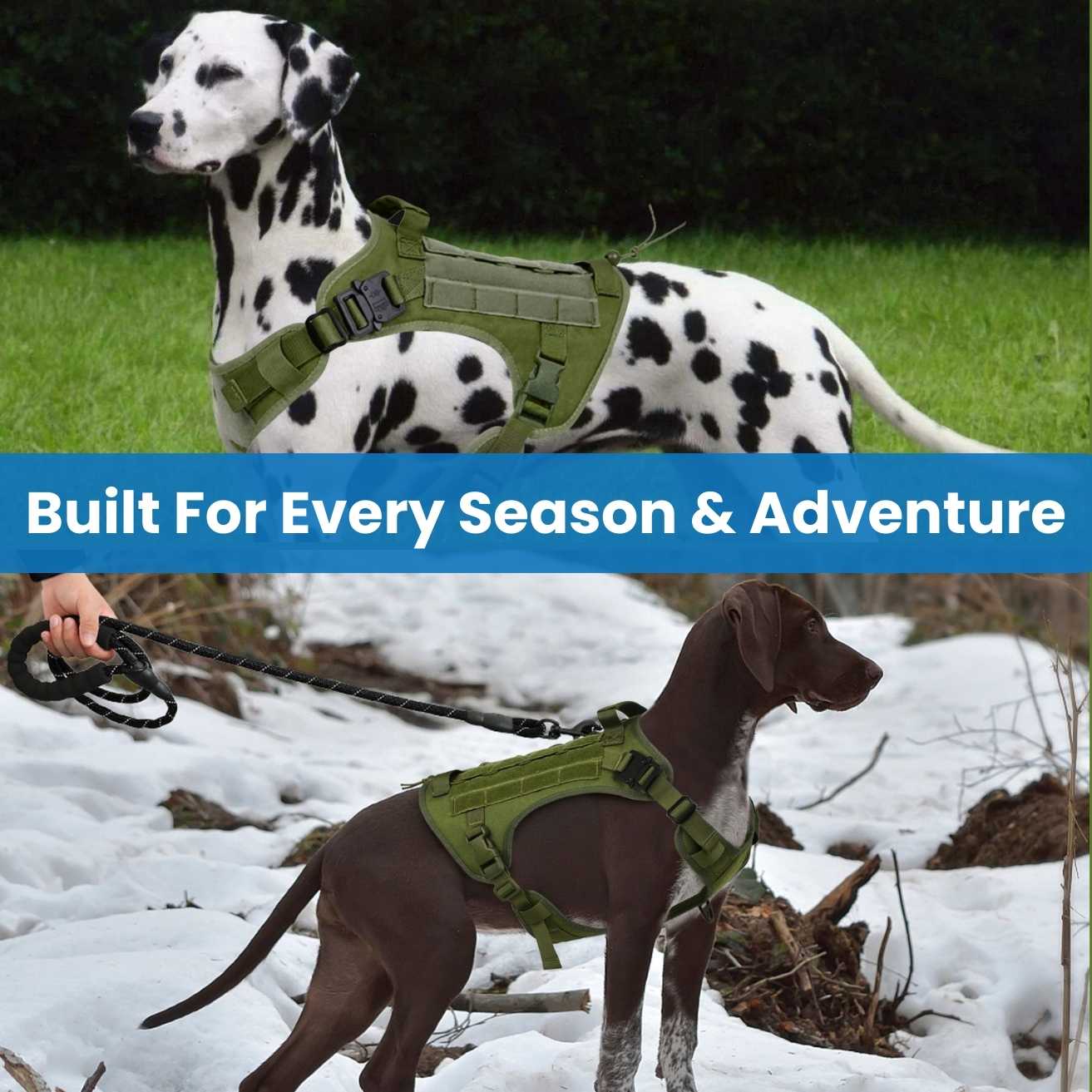 HANK Green Military Dog Harness - With Strong Front Metal Buckle