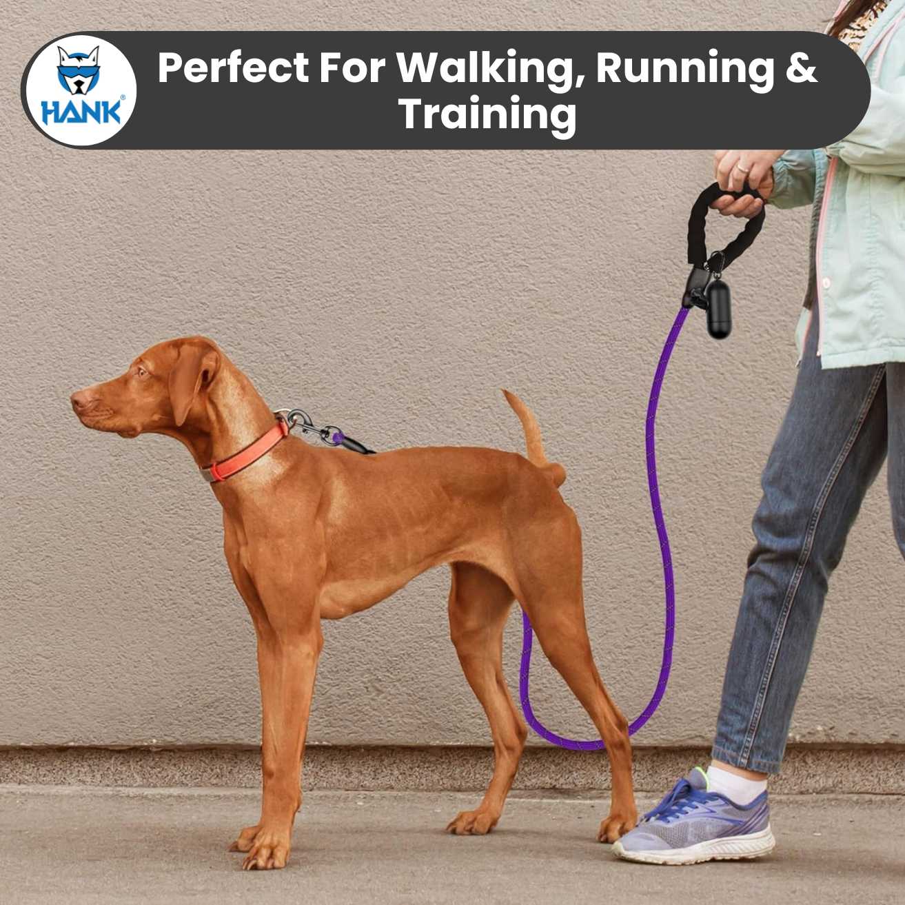 Dog Leash Violet