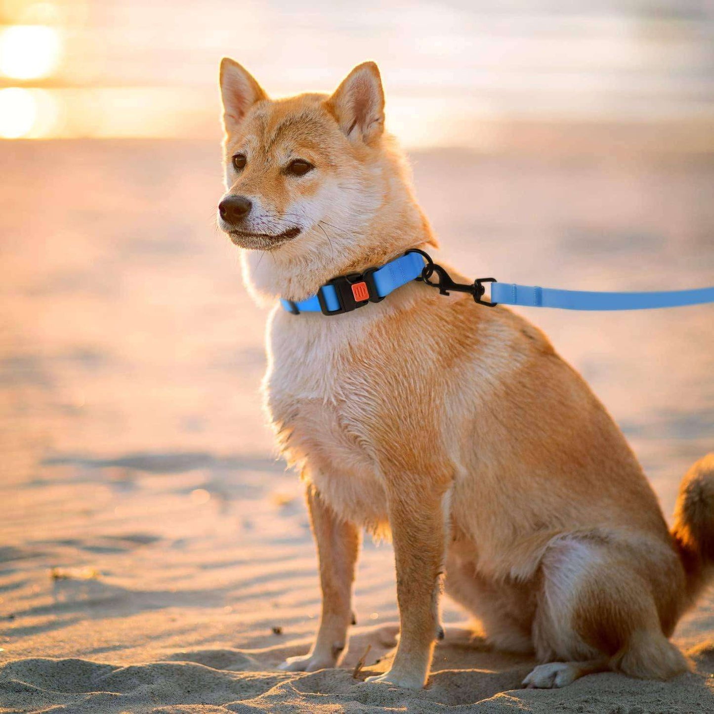 Hank Waterproof Dog Leash