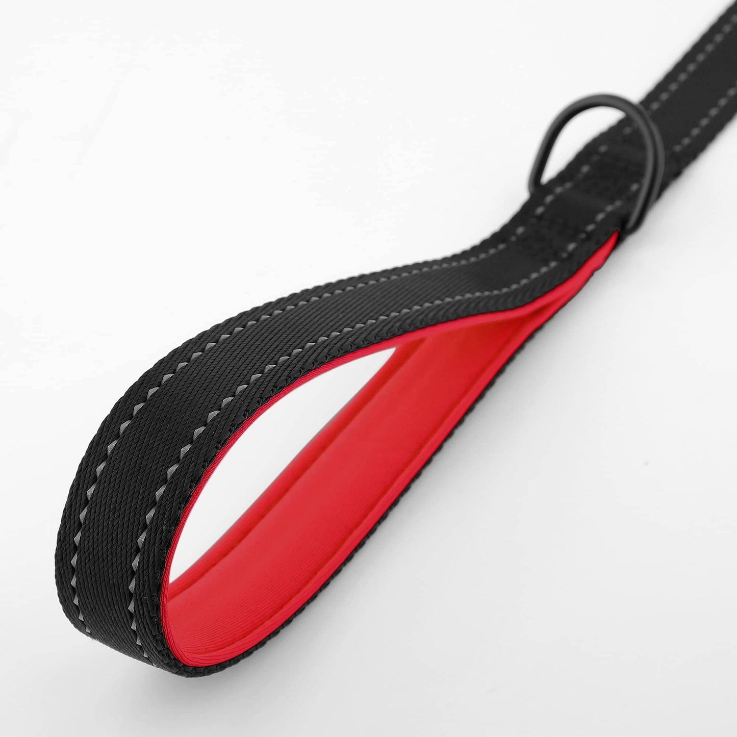 Dog Leash
