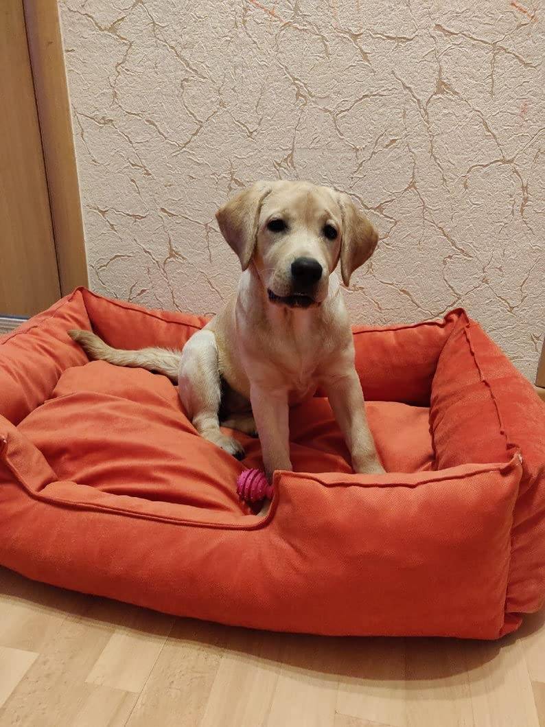 Pet Bed - HANK