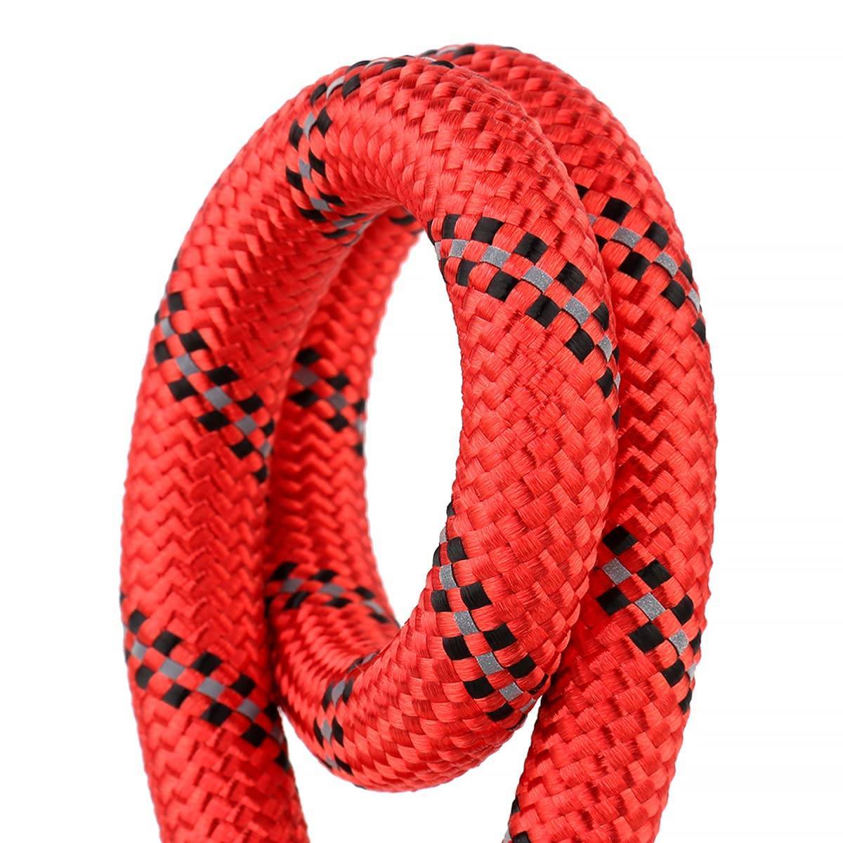 Leash