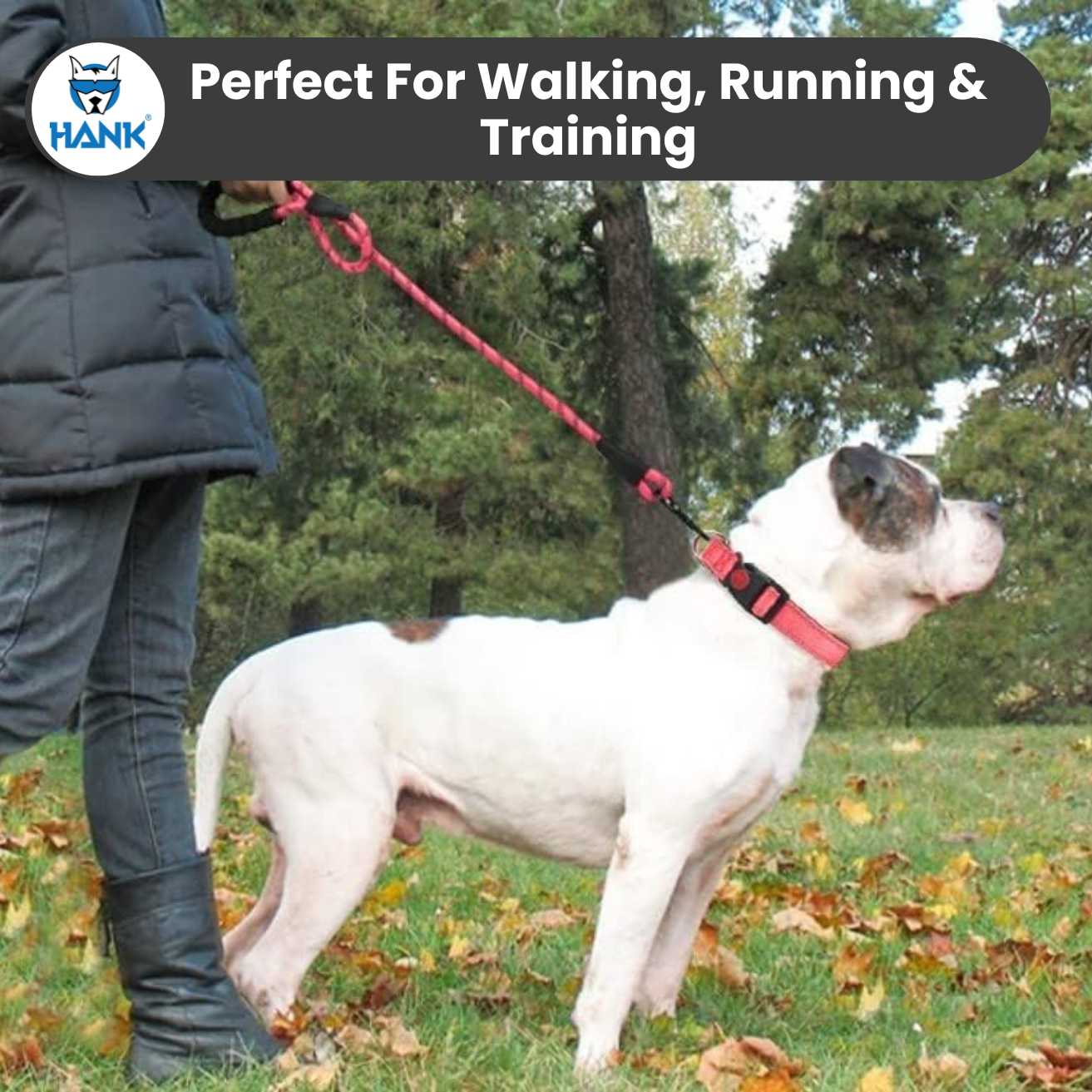 Hank dog leash With 5 feet