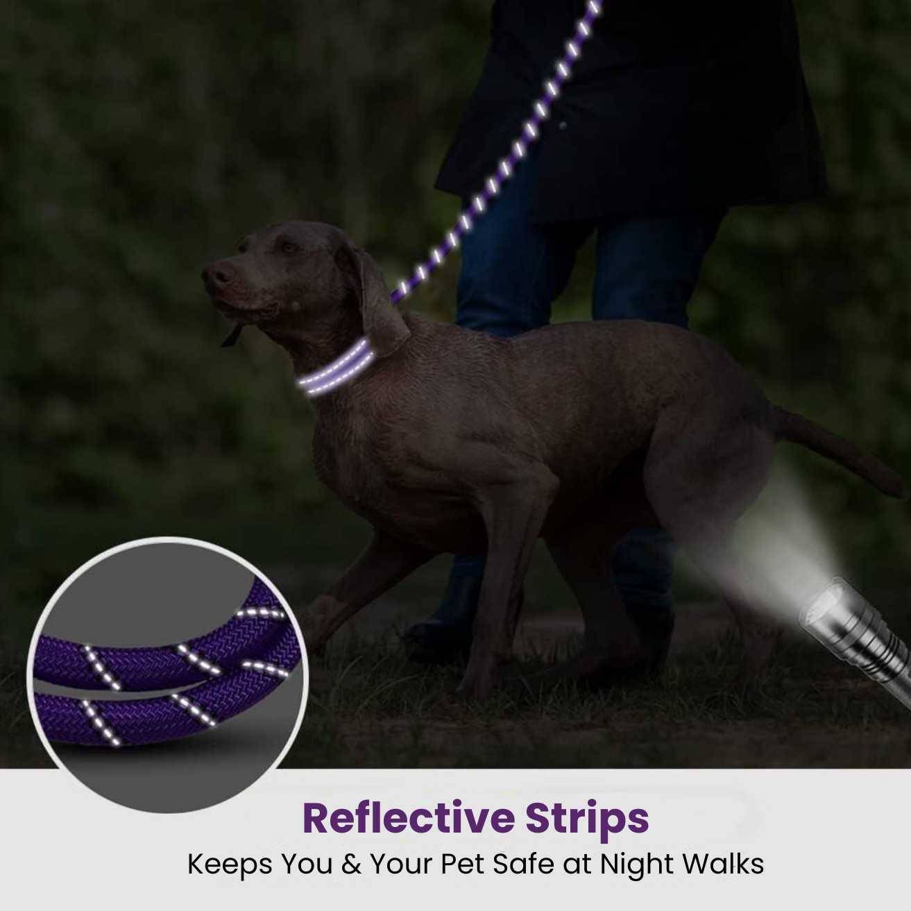Dog Leash Violet