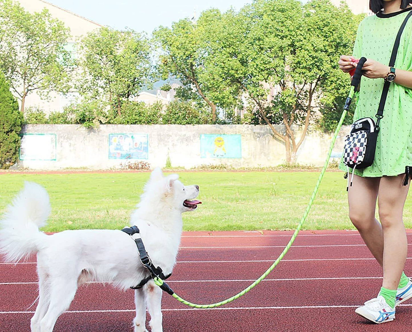 Hank Leash For Puppy