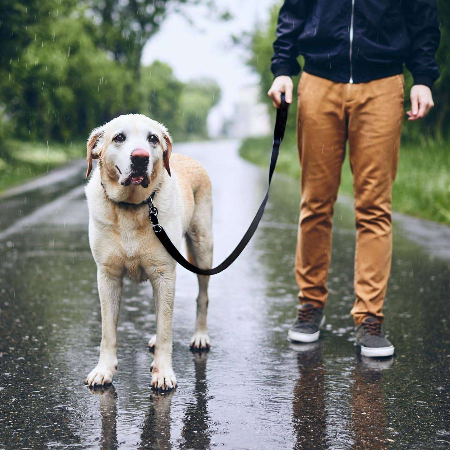 Dog Leash Black