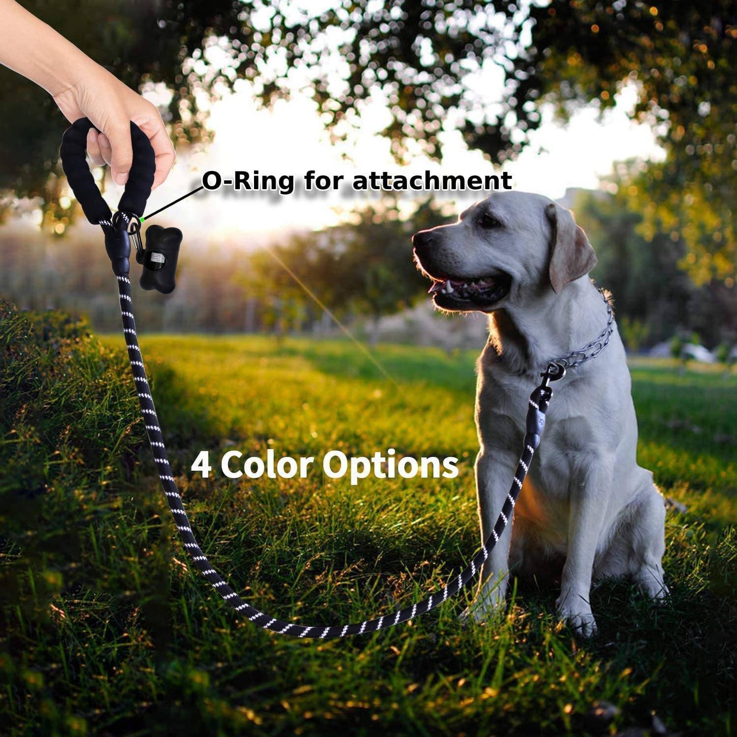 Hank Black Leash For Dog