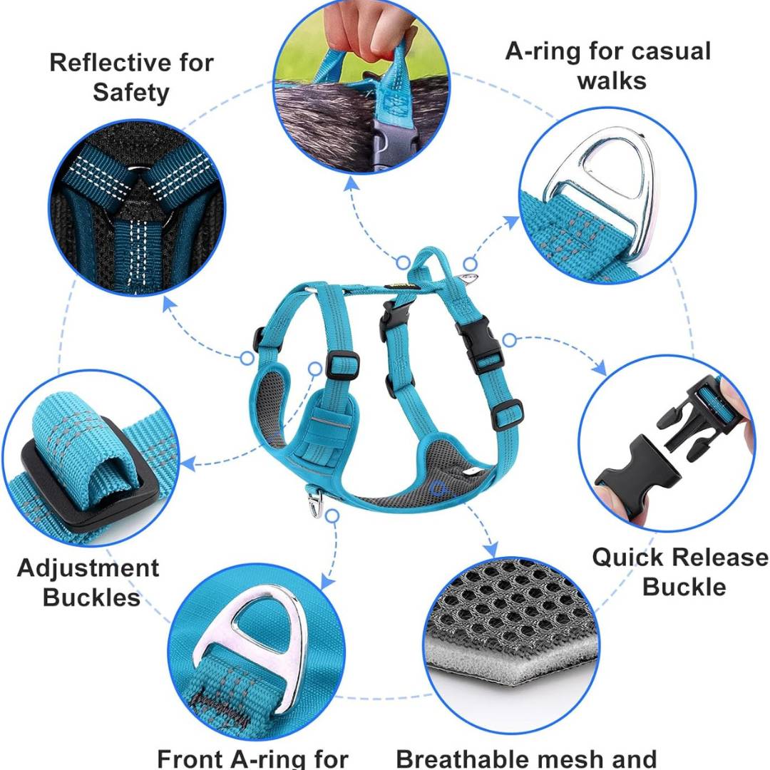 Hank Cyan Blue Grey Quick-Fit Dog Harness.
