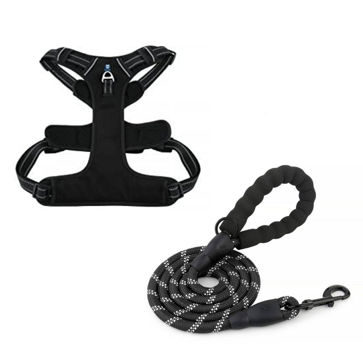 Black Dog Harness