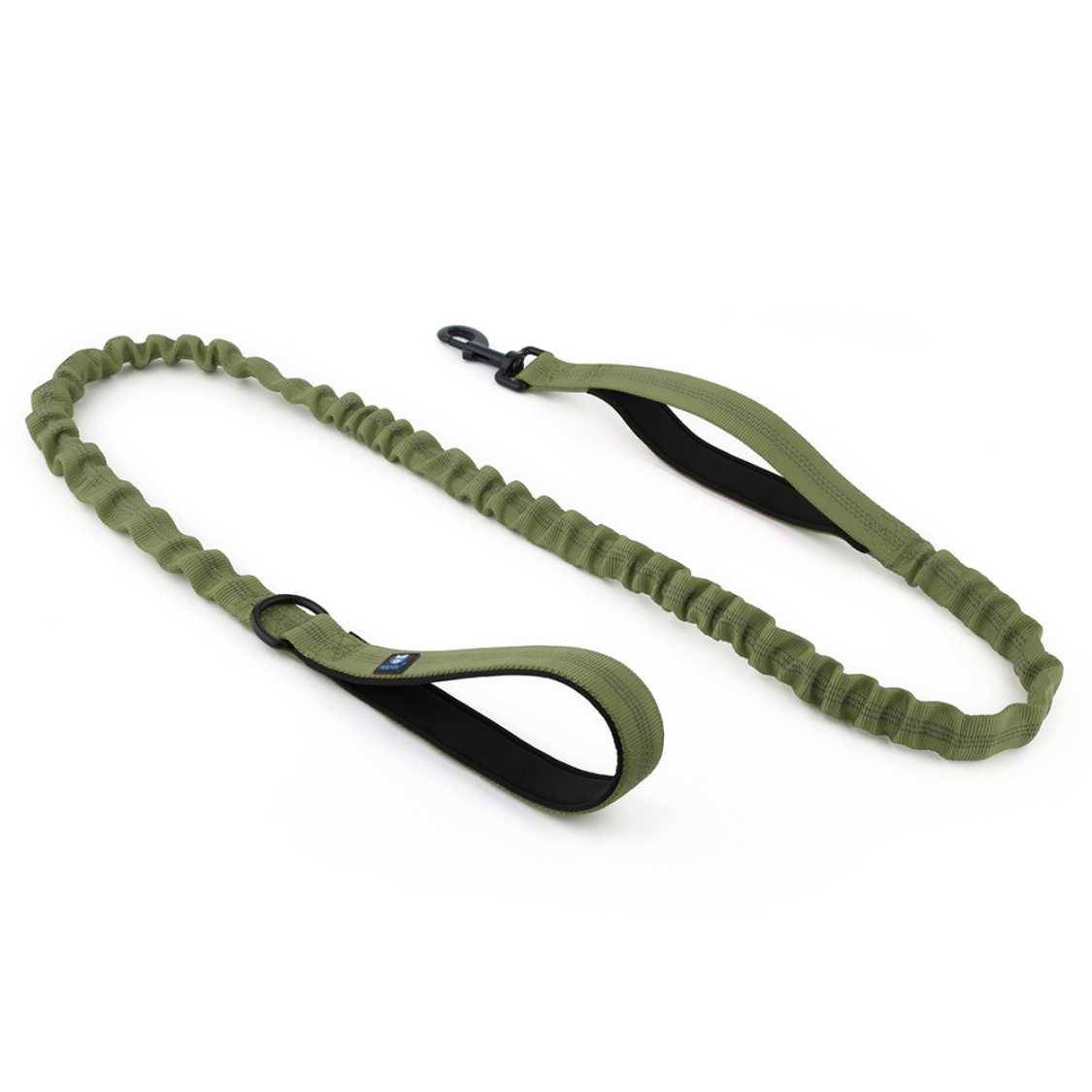 Dog Leash