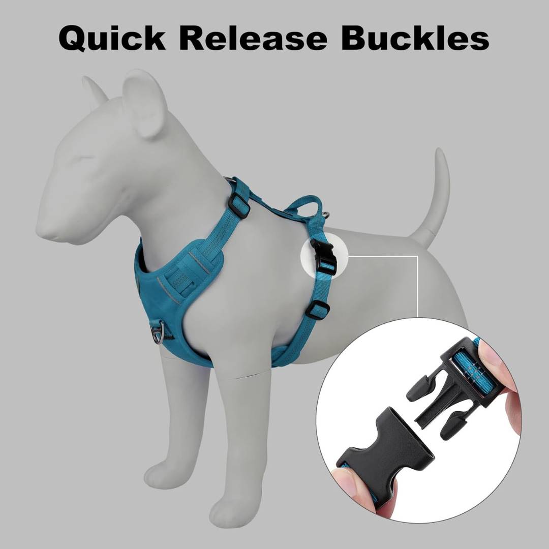 Hank Cyan Blue Grey Quick-Fit Dog Harness.