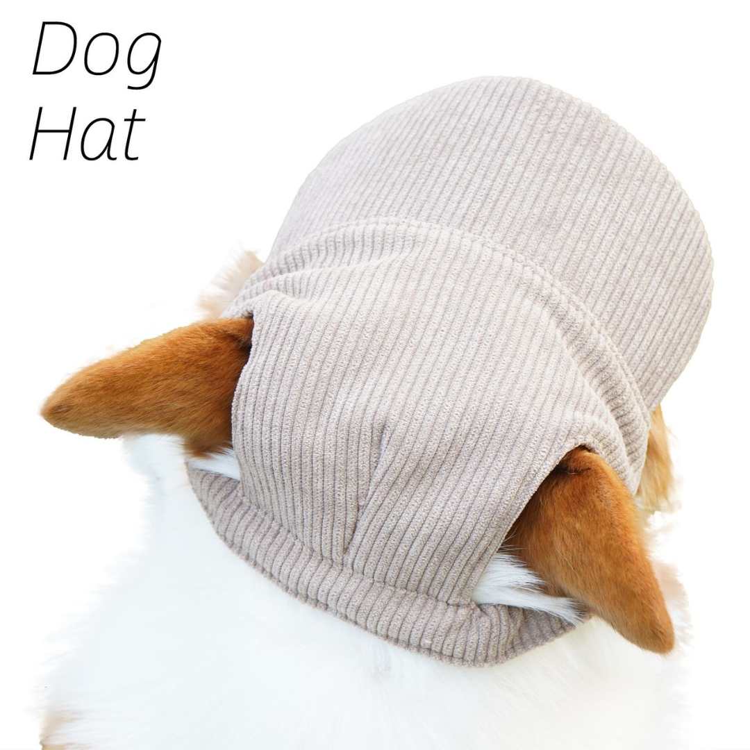 Stylish dog caps for small to large breeds. Adjustable fit, sun protection & breathable design.
