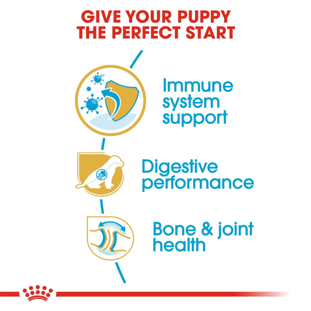 Royal Canin German Shepherd Puppy Dog Dry Food