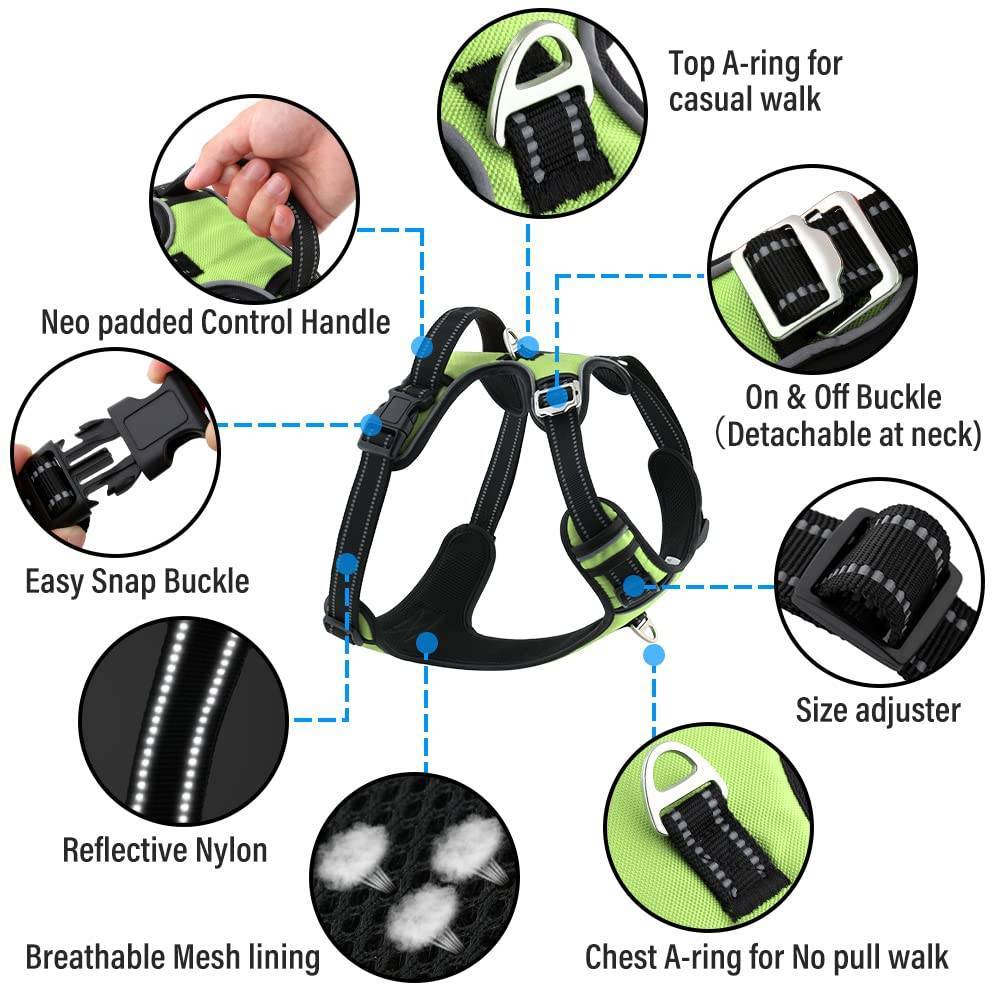 Hank Dog Neon Green Harness