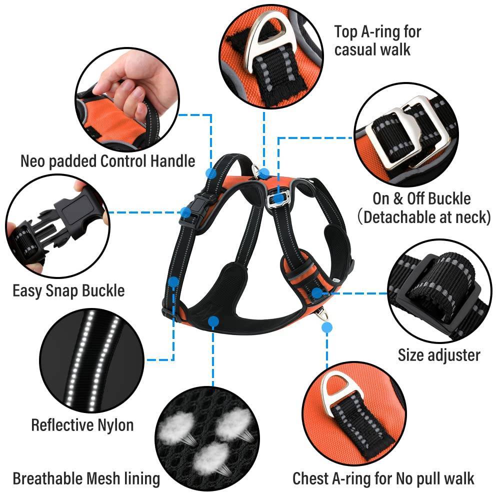 Hank Neon Orange Harness For Dog