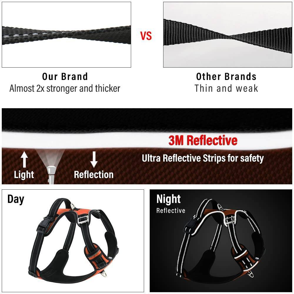 Hank Neon Orange Harness For Dog