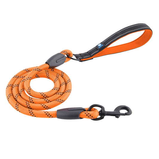 Dog Leash Orange