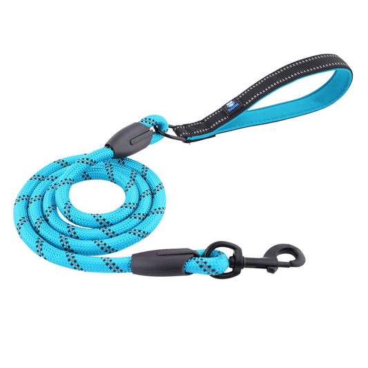 Blue Leash Hank