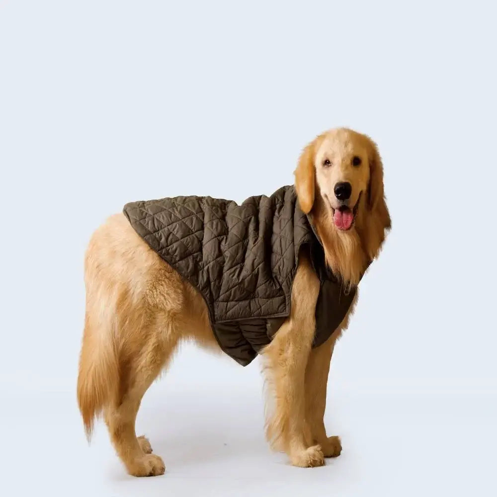 Olive Green Dog Winter Jacket