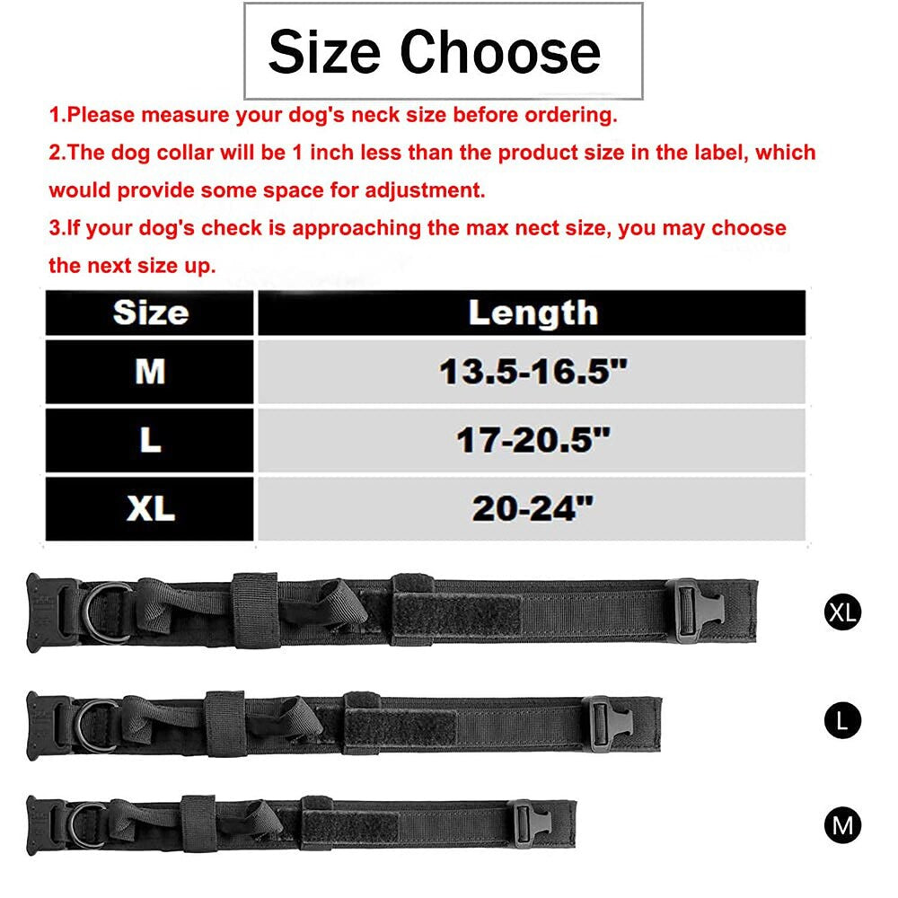 Hank Metal Buckle Dog Collar – Heavy Duty, Adjustable & Durable | Secure Pet Collar (Black)