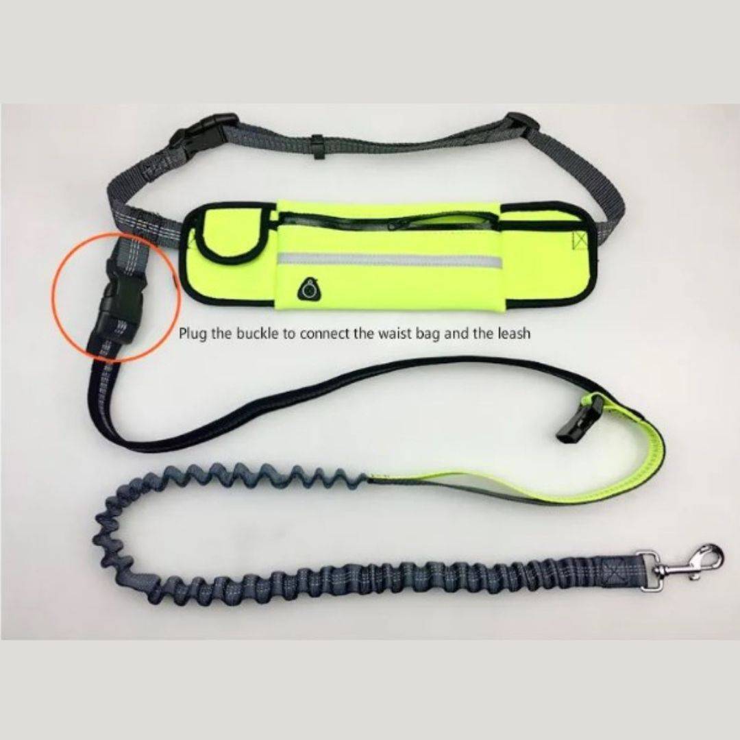 Dog Leash With Pocket