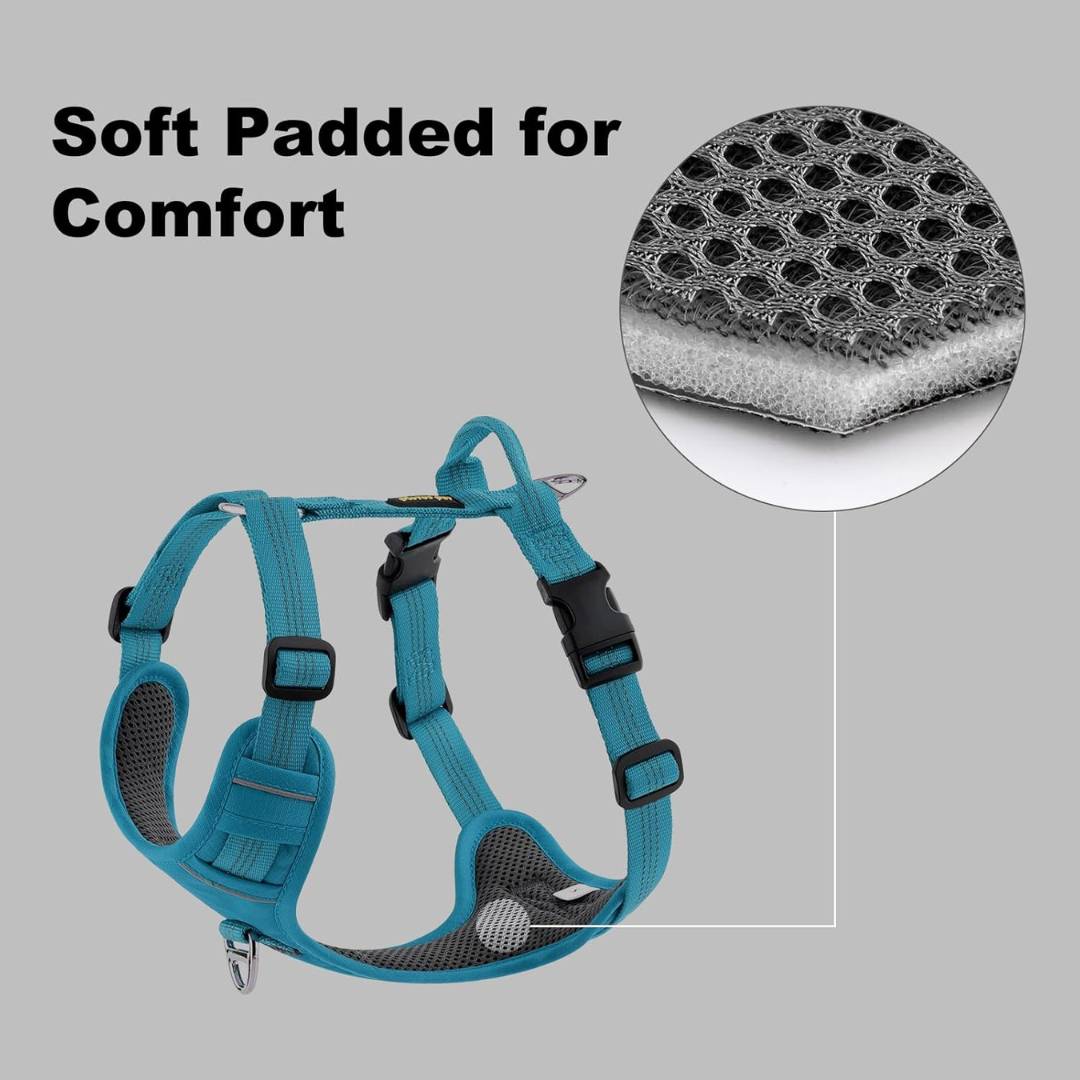 Hank Cyan Blue Grey Quick-Fit Dog Harness.