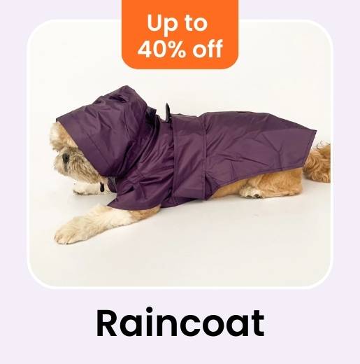 Dog wearing a purple raincoat with a discount banner on a light purple background
